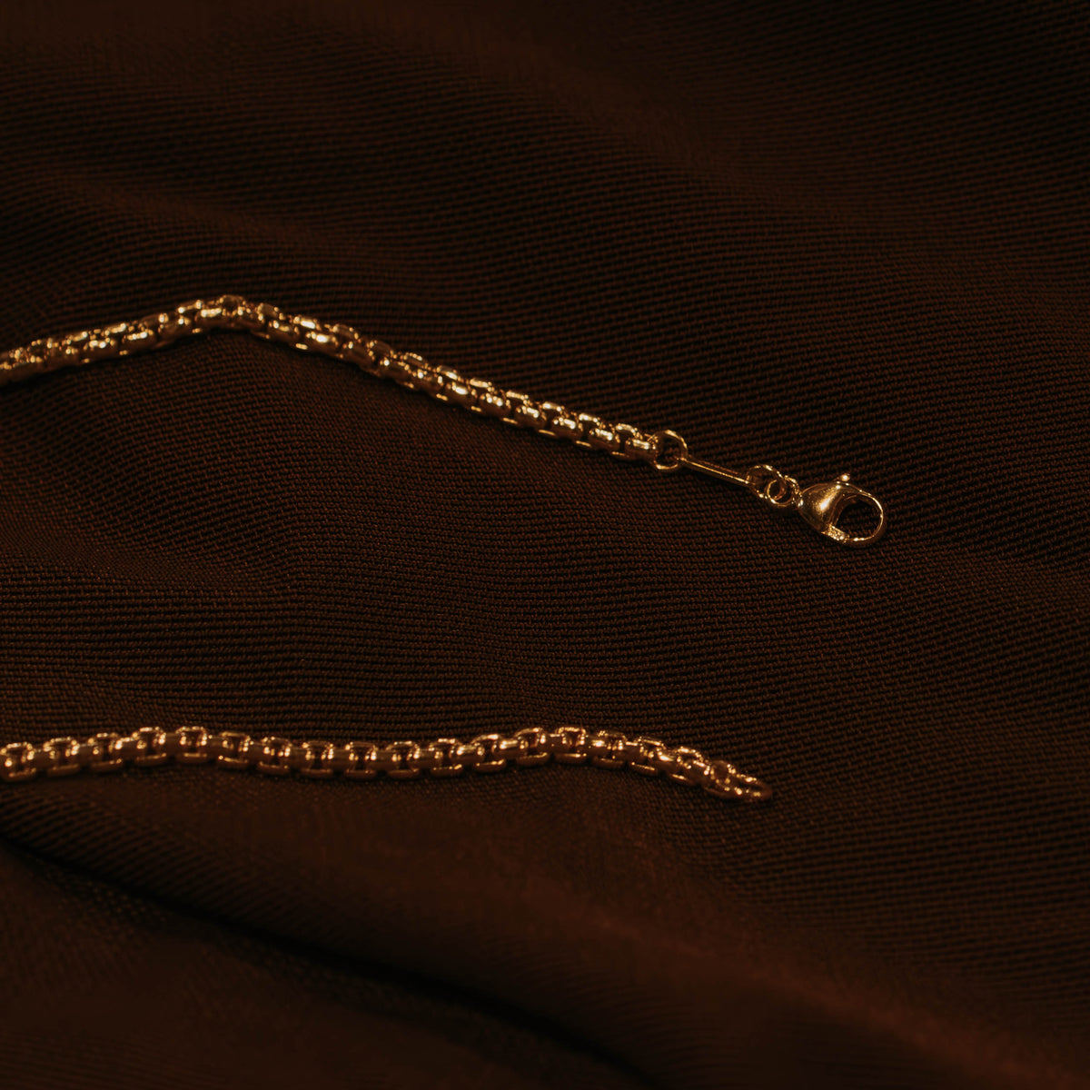 Close-up of 14k gold rounded box chain links