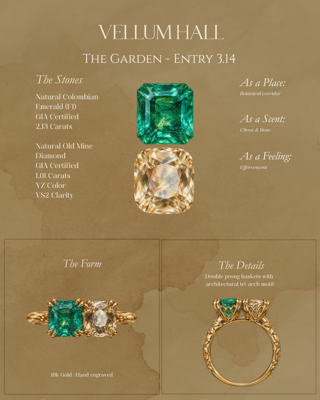The Garden - Entry 3.14