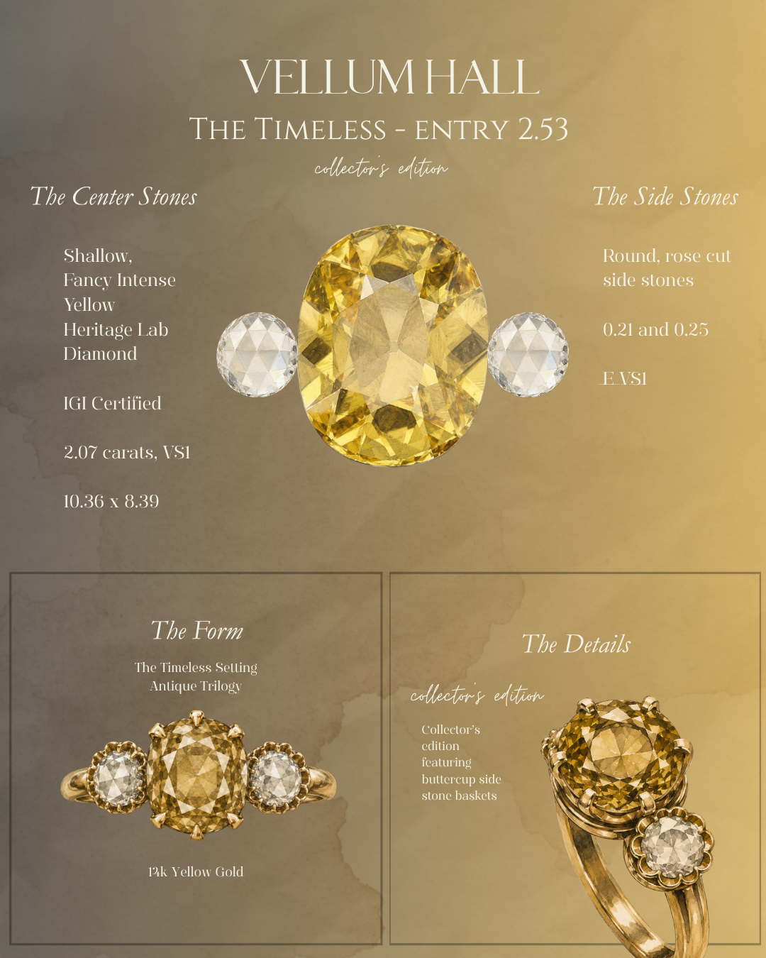 The Timeless - Collector's Entry 2.53